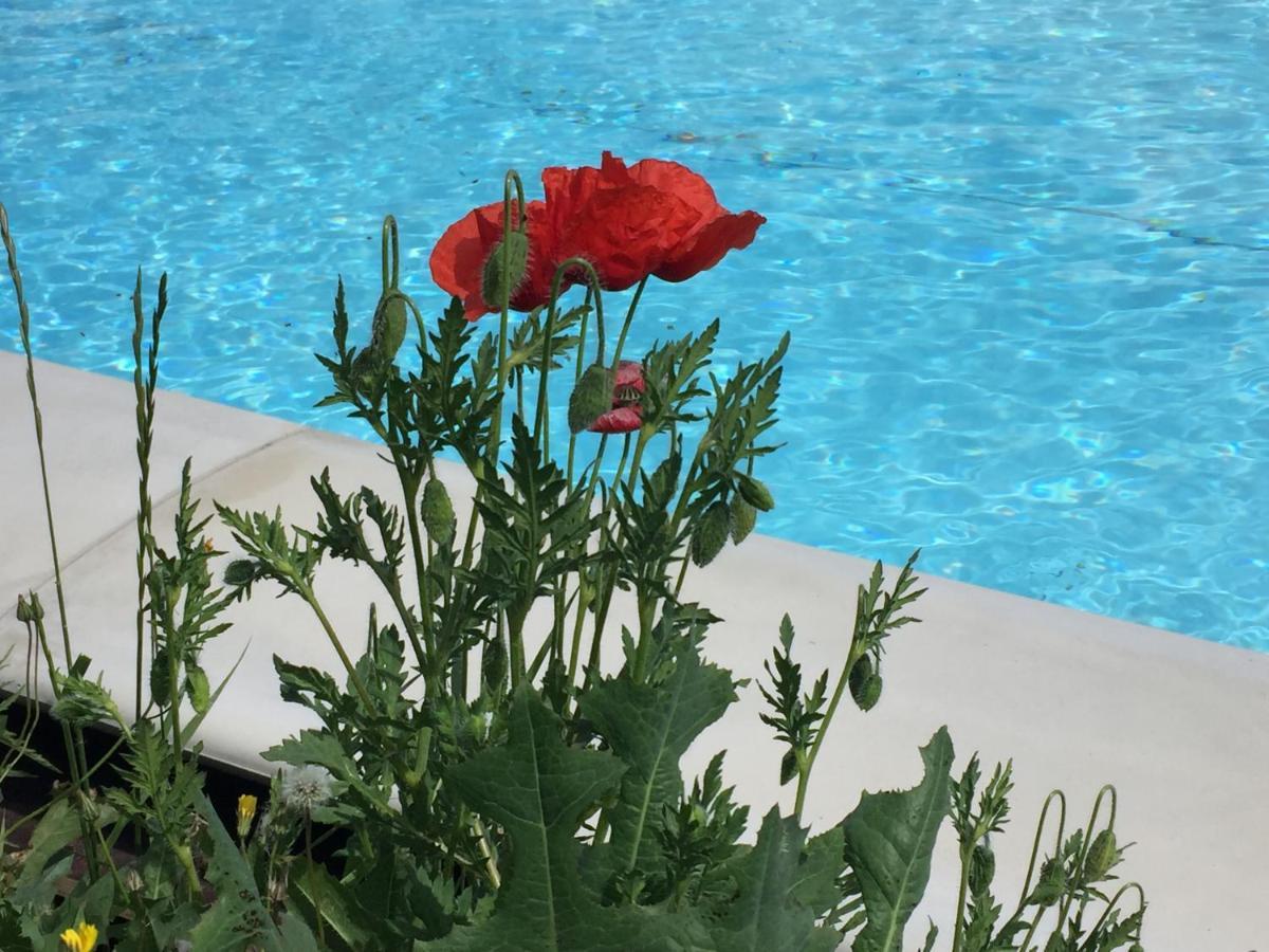 Dernice Nido D'Amore المظهر الخارجي الصورة